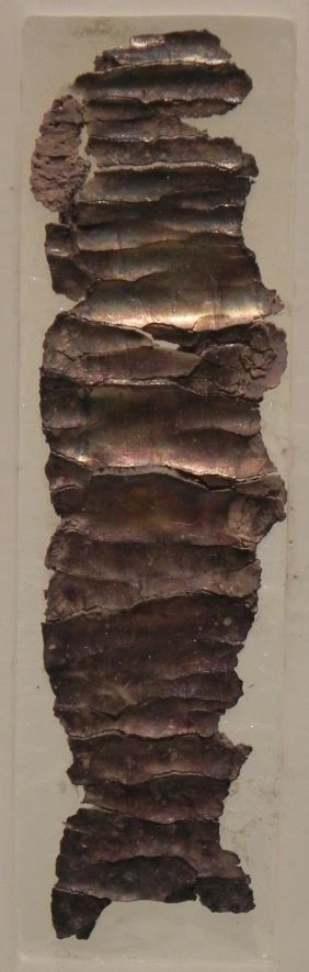 samuel_and_saidye_bronfman_archaeology_wingdscn5068 small