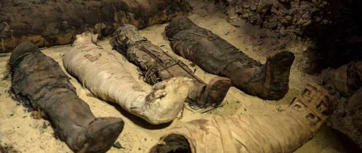 Egyptian Mummies