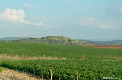 Tell Bornat, possible Libnah, from west, tb011606860_thumb[1]