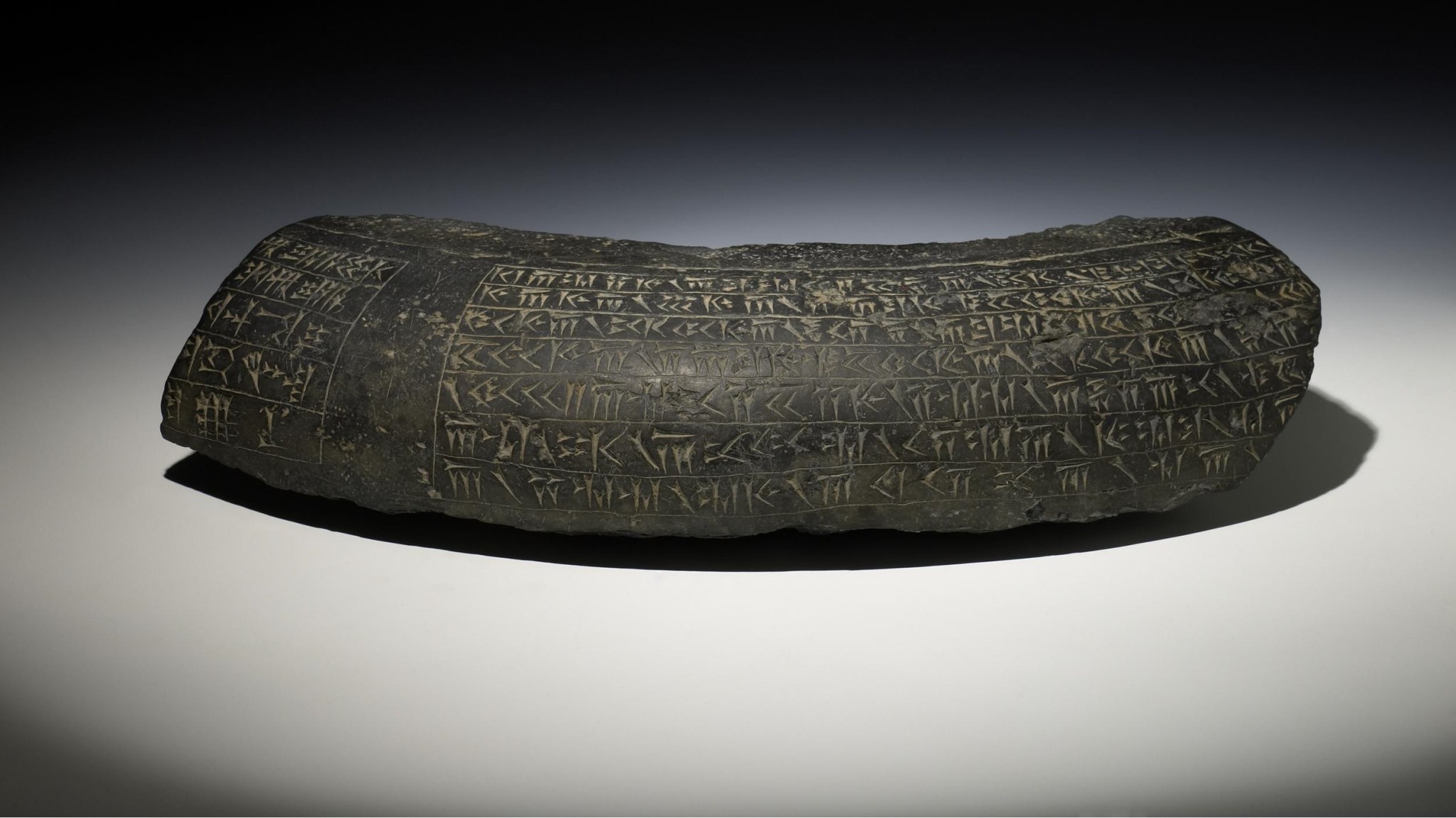 Darius the Great visual data 7